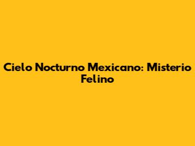 Cielo Nocturno Mexicano: Misterio Felino