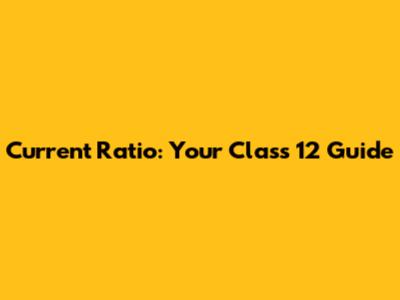 Current Ratio: Your Class 12 Guide
