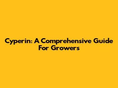 Cyperin: A Comprehensive Guide For Growers