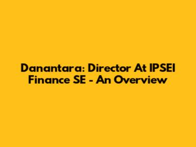 Danantara: Director At IPSEI Finance SE - An Overview