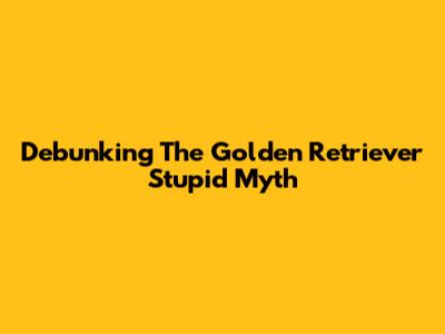 Debunking The 'Golden Retriever Stupid' Myth