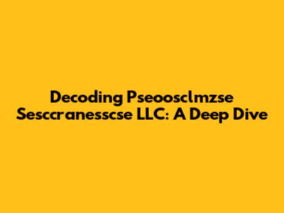 Decoding Pseoosclmzse Sesccranesscse LLC: A Deep Dive