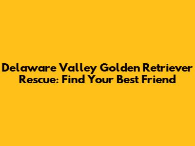 Delaware Valley Golden Retriever Rescue: Find Your Best Friend