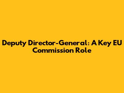 Deputy Director-General: A Key EU Commission Role