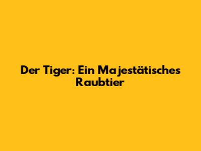 Der Tiger: Ein Majestätisches Raubtier