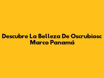Descubre La Belleza De Oscrubiosc Marco Panamá