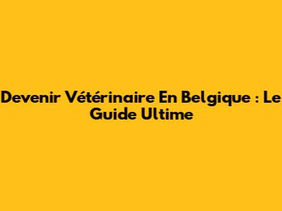 Devenir Vétérinaire En Belgique : Le Guide Ultime