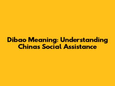 Dibao Meaning: Understanding China's Social Assistance