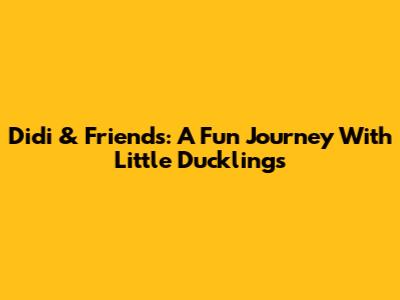 Didi & Friends: A Fun Journey With Little Ducklings