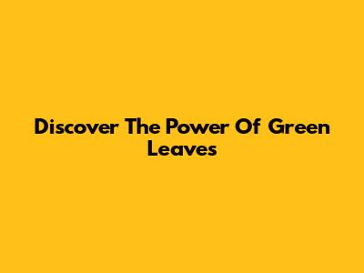 Discover The Power Of Green Leaves