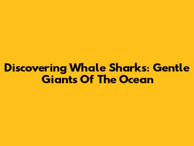 Discovering Whale Sharks: Gentle Giants Of The Ocean