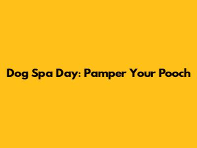 Dog Spa Day: Pamper Your Pooch