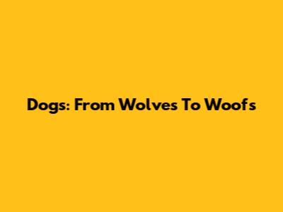 Dogs: From Wolves To Woofs