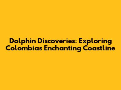 Dolphin Discoveries: Exploring Colombia's Enchanting Coastline