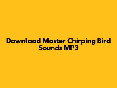 Download Master Chirping Bird Sounds MP3