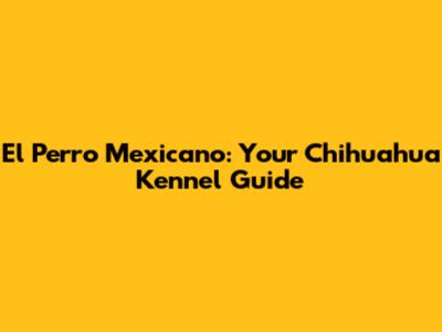 El Perro Mexicano: Your Chihuahua Kennel Guide