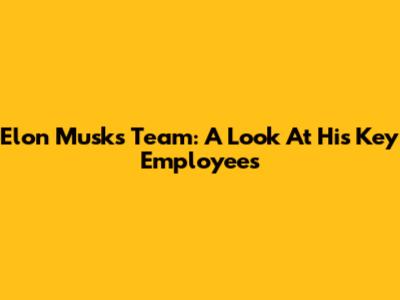 Elon Musk's Team: A Look At His Key Employees