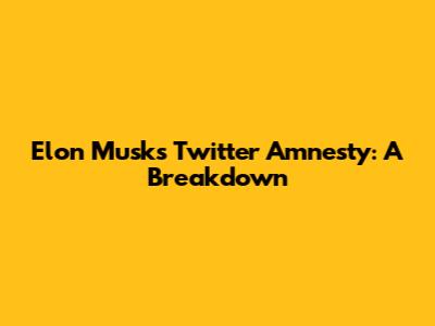 Elon Musk's Twitter Amnesty: A Breakdown