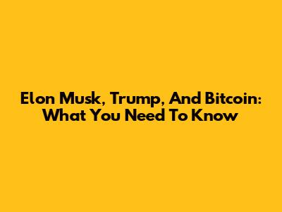 Elon Musk, Trump, And Bitcoin: What You Need To Know
