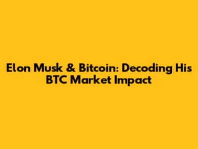 Elon Musk & Bitcoin: Decoding His BTC Market Impact