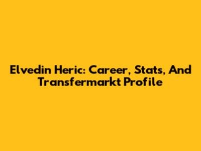 Elvedin Heric: Career, Stats, And Transfermarkt Profile