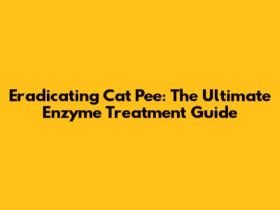 Eradicating Cat Pee: The Ultimate Enzyme Treatment Guide