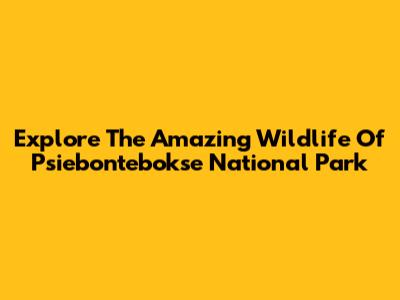 Explore The Amazing Wildlife Of Psiebontebokse National Park