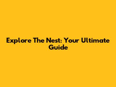 Explore The Nest: Your Ultimate Guide