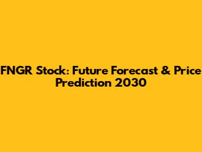 FNGR Stock: Future Forecast & Price Prediction 2030