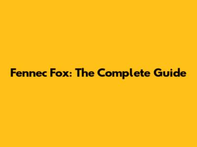 Fennec Fox: The Complete Guide