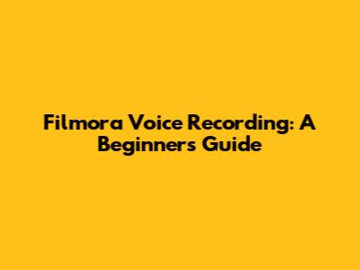 Filmora Voice Recording: A Beginner's Guide