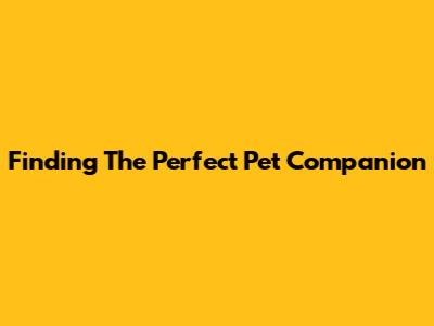 Finding The Perfect Pet Companion