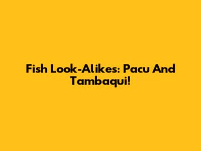 Fish Look-Alikes: Pacu And Tambaqui!