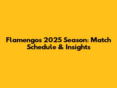 Flamengo's 2025 Season: Match Schedule & Insights