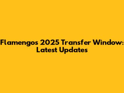 Flamengo's 2025 Transfer Window: Latest Updates