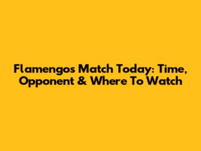 Flamengo's Match Today: Time, Opponent & Where To Watch