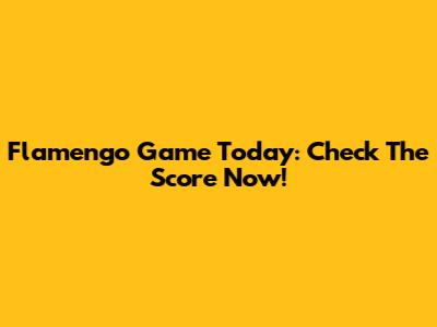 Flamengo Game Today: Check The Score Now!
