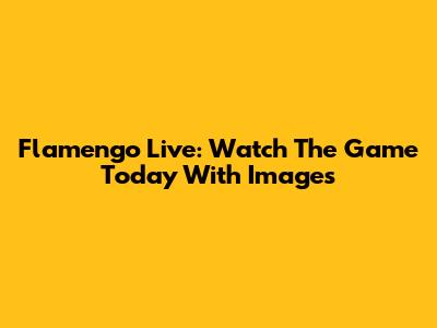 Flamengo Live: Watch The Game Today With Images