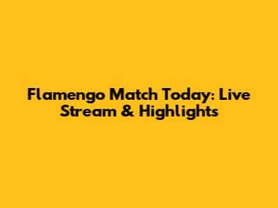 Flamengo Match Today: Live Stream & Highlights