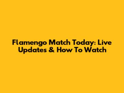 Flamengo Match Today: Live Updates & How To Watch