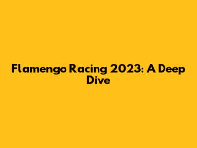 Flamengo Racing 2023: A Deep Dive