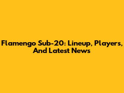 Flamengo Sub-20: Lineup, Players, And Latest News