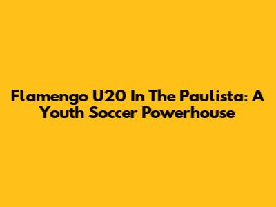Flamengo U20 In The Paulista: A Youth Soccer Powerhouse