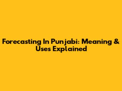 Forecasting In Punjabi: Meaning & Uses Explained