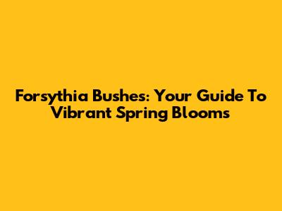 Forsythia Bushes: Your Guide To Vibrant Spring Blooms
