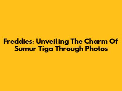 Freddie's: Unveiling The Charm Of Sumur Tiga Through Photos