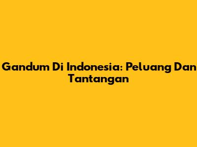 Gandum Di Indonesia: Peluang Dan Tantangan