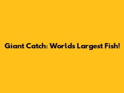Giant Catch: World's Largest Fish!