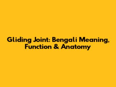 Gliding Joint: Bengali Meaning, Function & Anatomy
