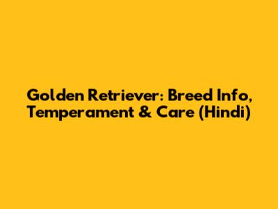 Golden Retriever: Breed Info, Temperament & Care (Hindi)